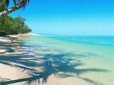 Bedarra Island Hotel Great Barrier Reef Екстериор снимка
